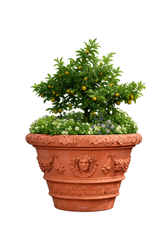 Preview: Terracotta Vase Estate aus Impruneta für Oliven- & Zitrusbäume